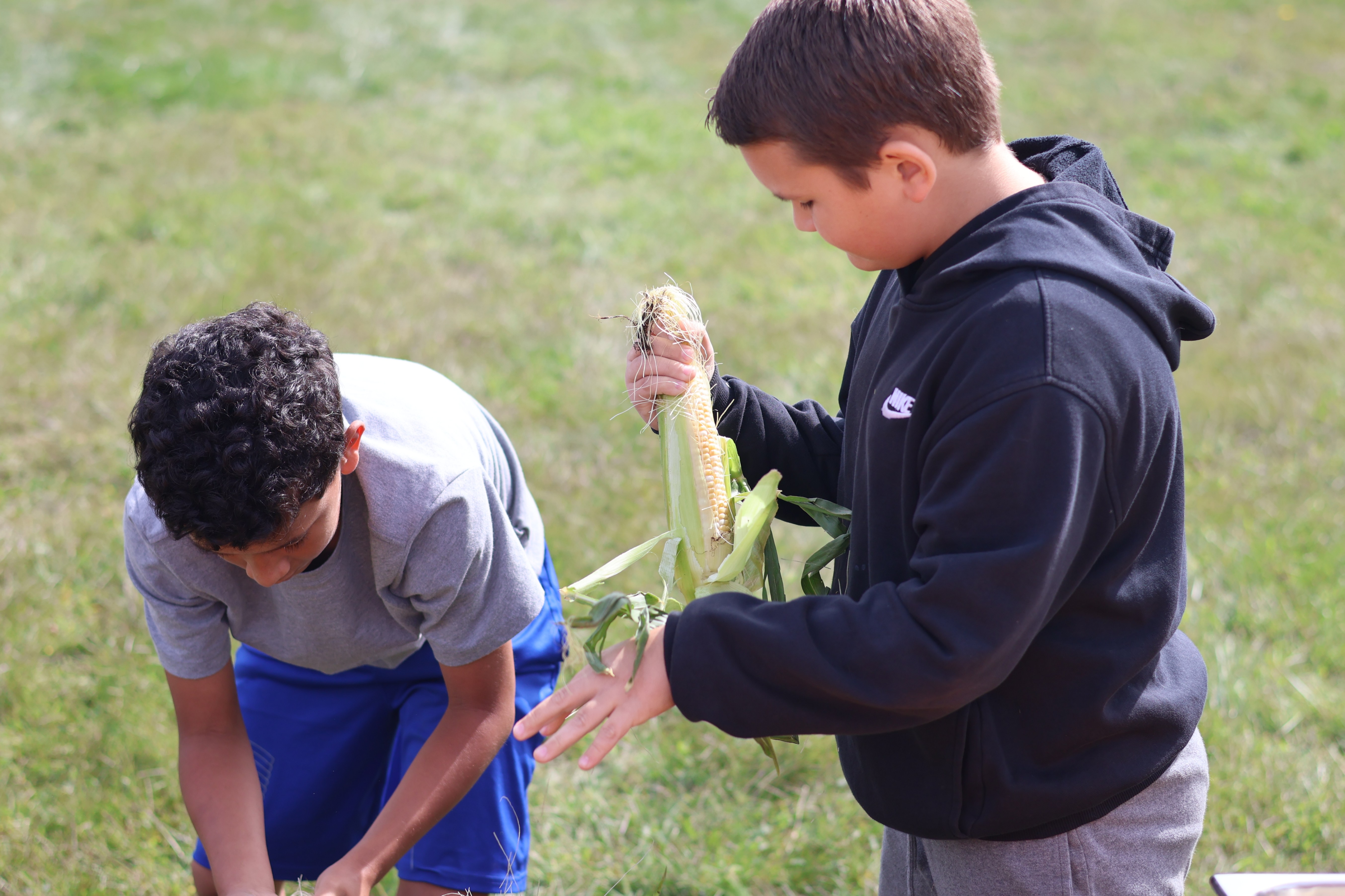 LPCSC Food Service Team Hosts Second Annual “Corn Husk-Off” at Hailmann Elementary School