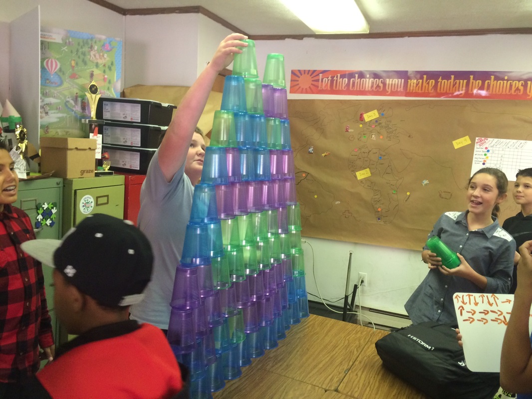 A class wide STEM project