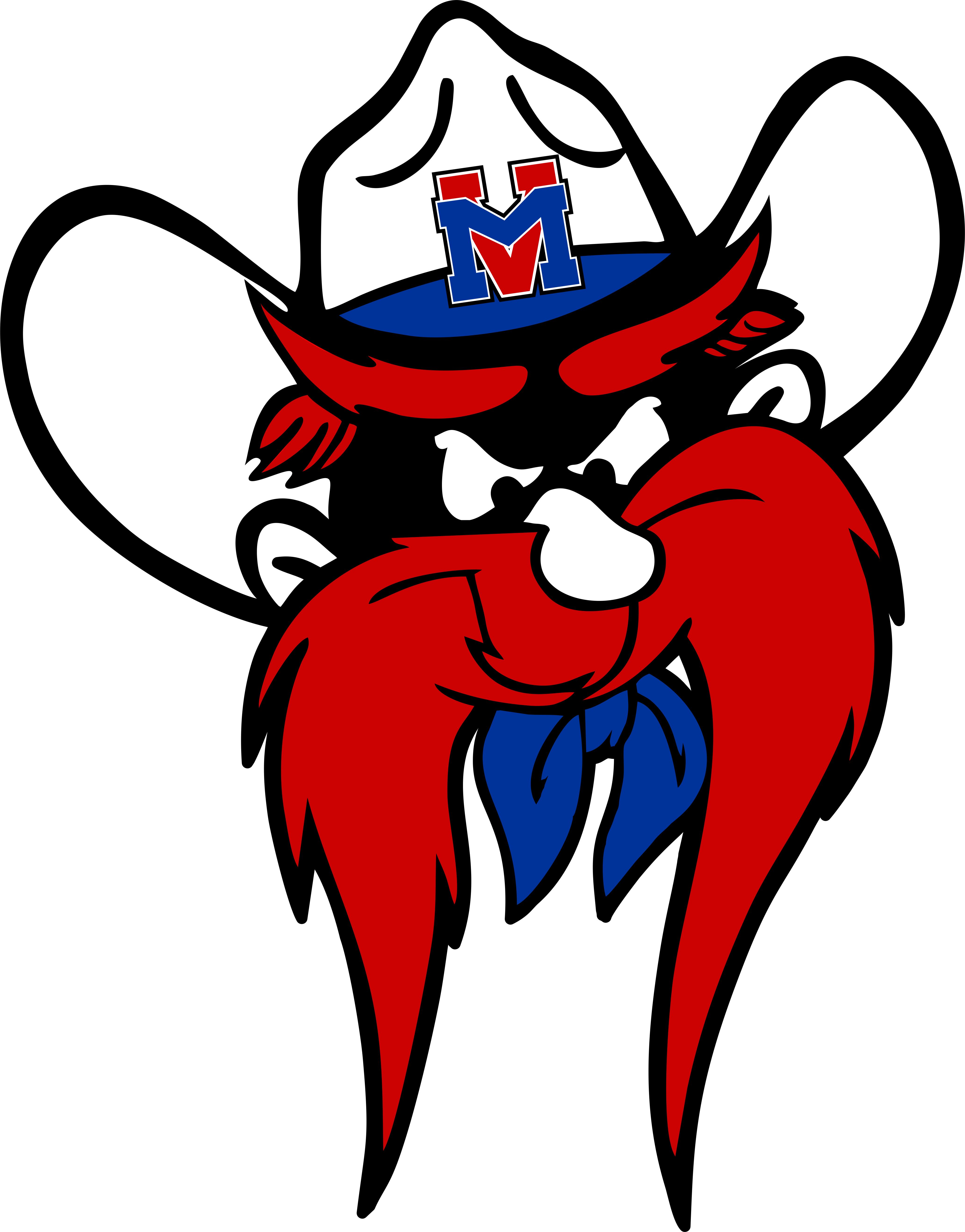 Cross Country Medicine Valley Public Schools