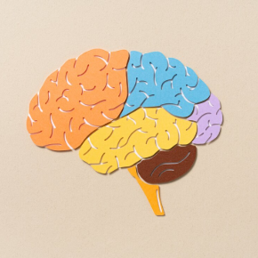 Flat drawing of a brain