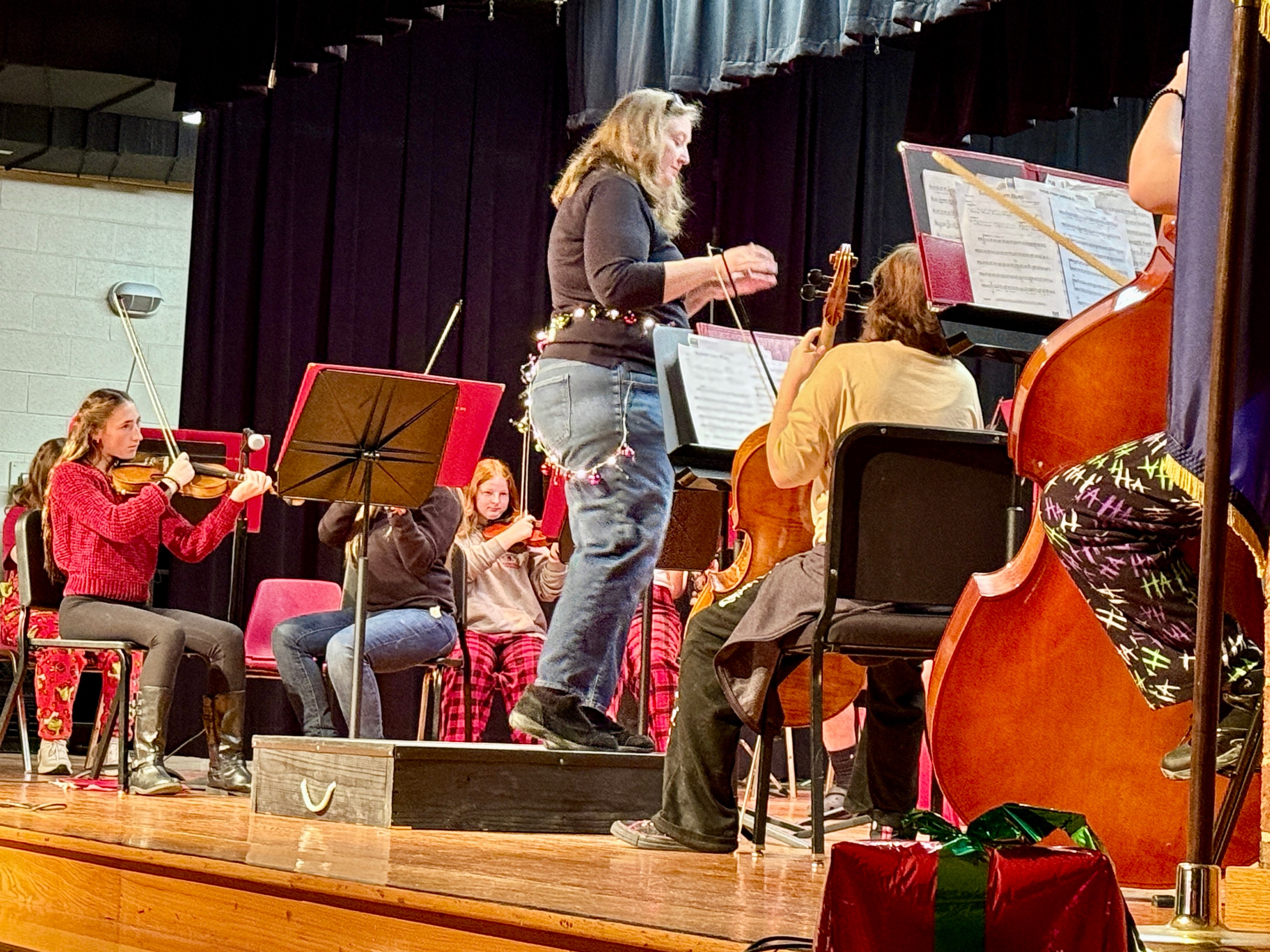 NFMS Orchestra Winter Music Concert