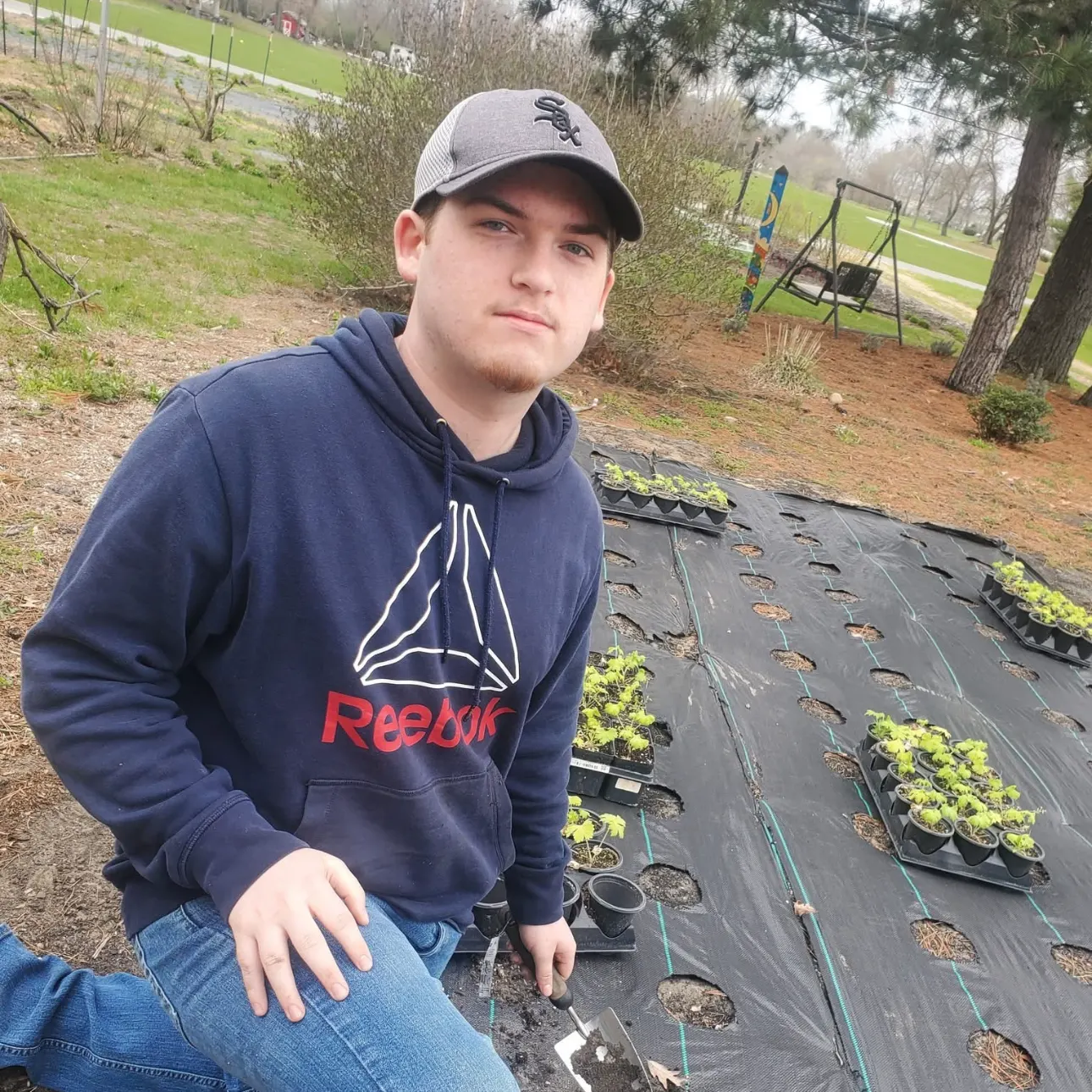 Mark Beeson working with seedlings