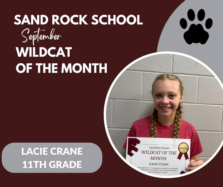 Wildcat of the Month