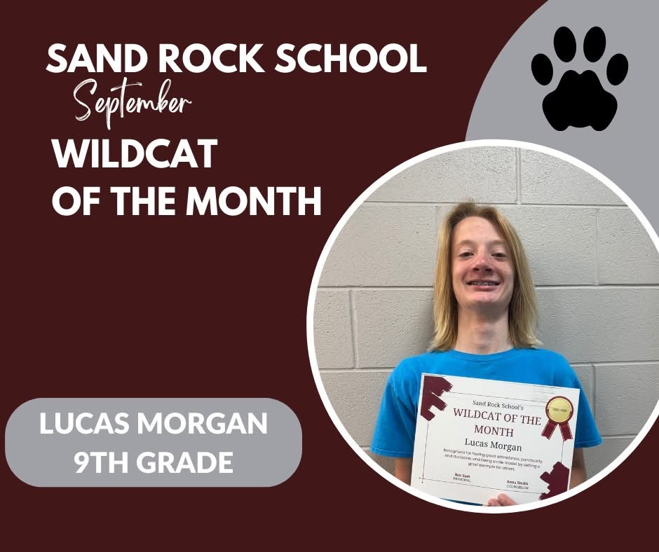 Wildcat of the Month