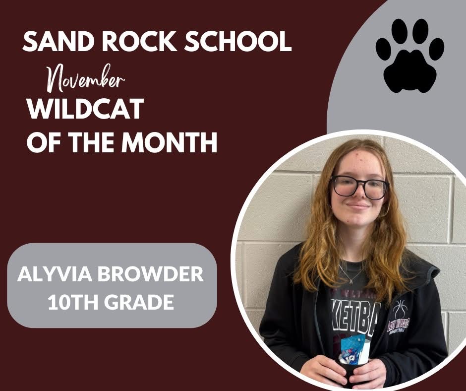 November Wildcat of the Month