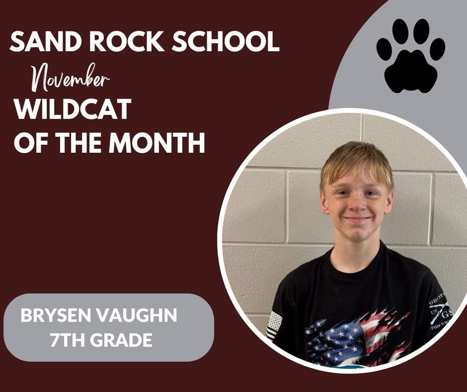 November Wildcat of the Month