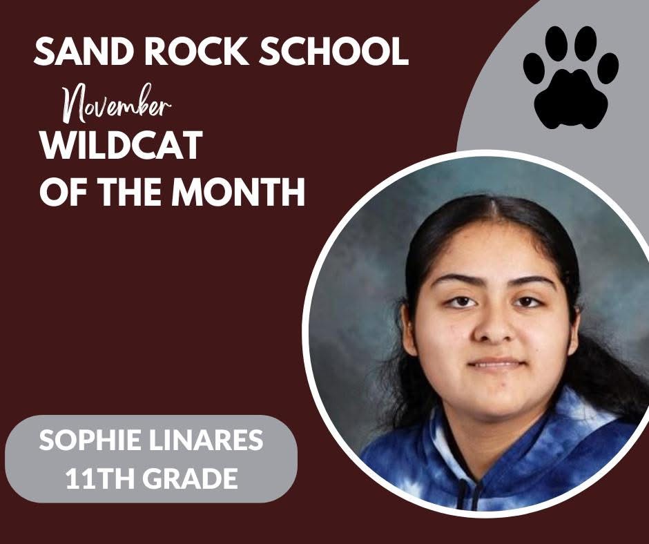 November Wildcat of the Month