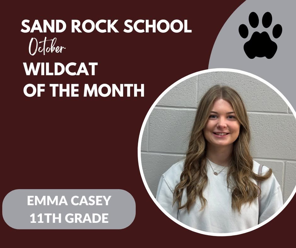 October Wildcat of the Month