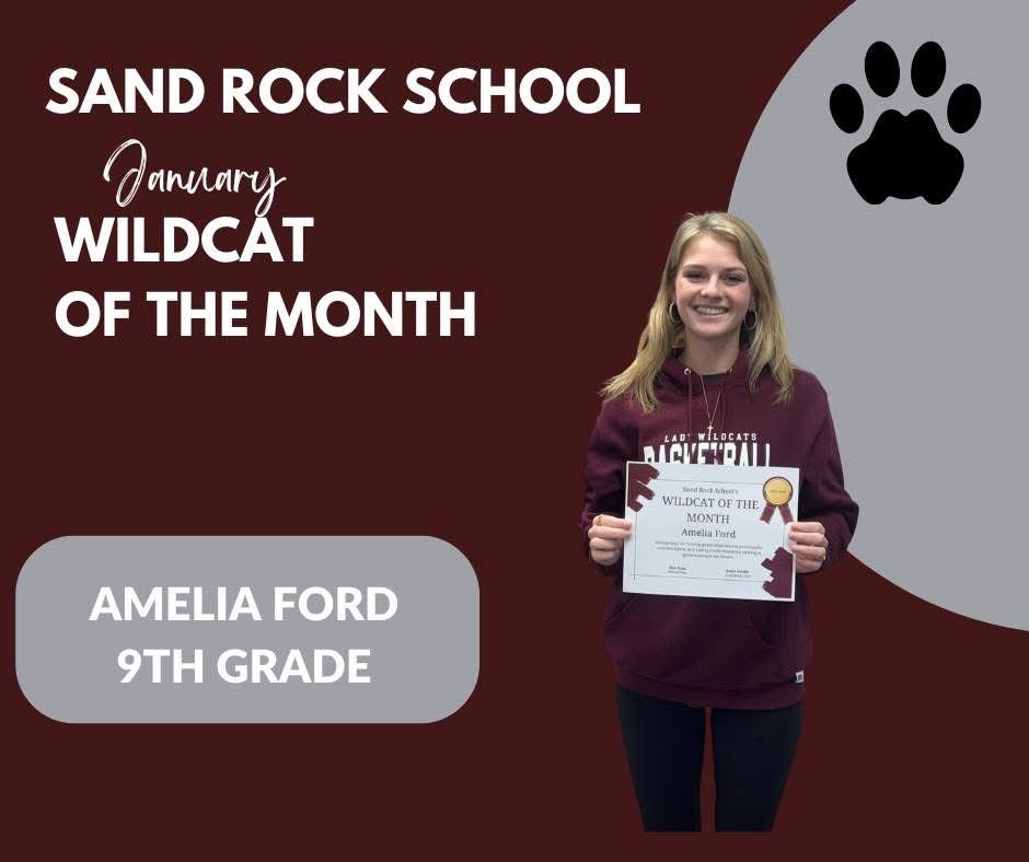 January Wildcat of the Month