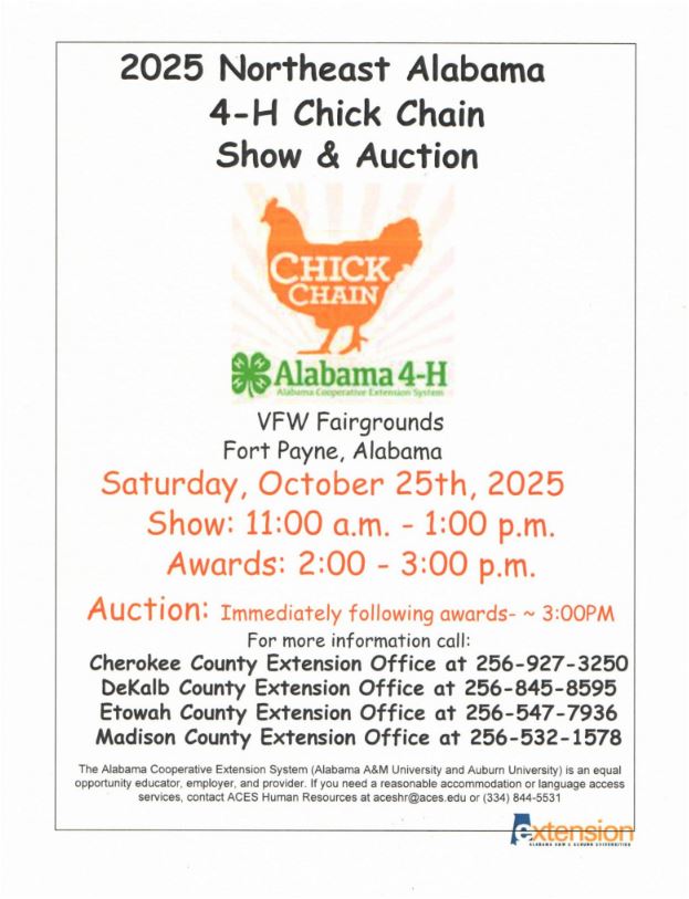 2025 Chick Chain Flyer