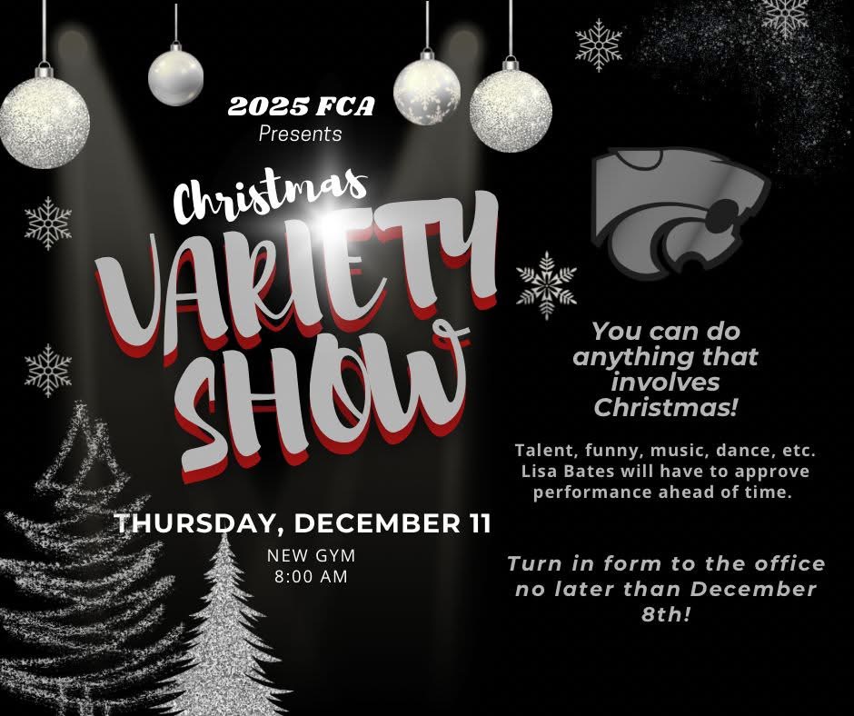Variety Show Flyer