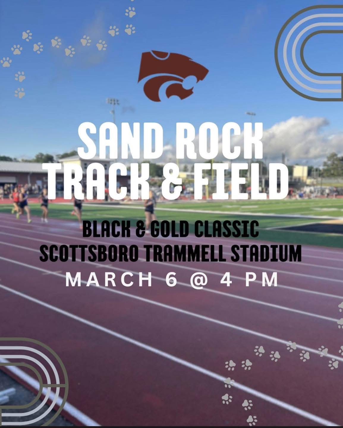 Track & Field Flyer