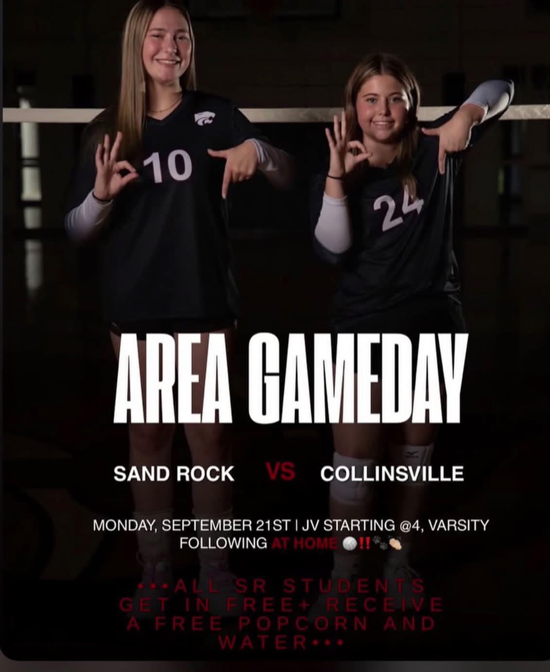 Volleyball Area Game Flyer