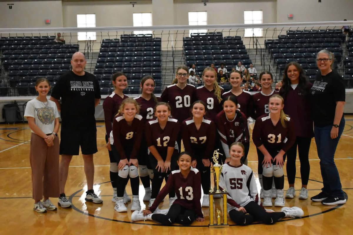 Volleyball Flyer