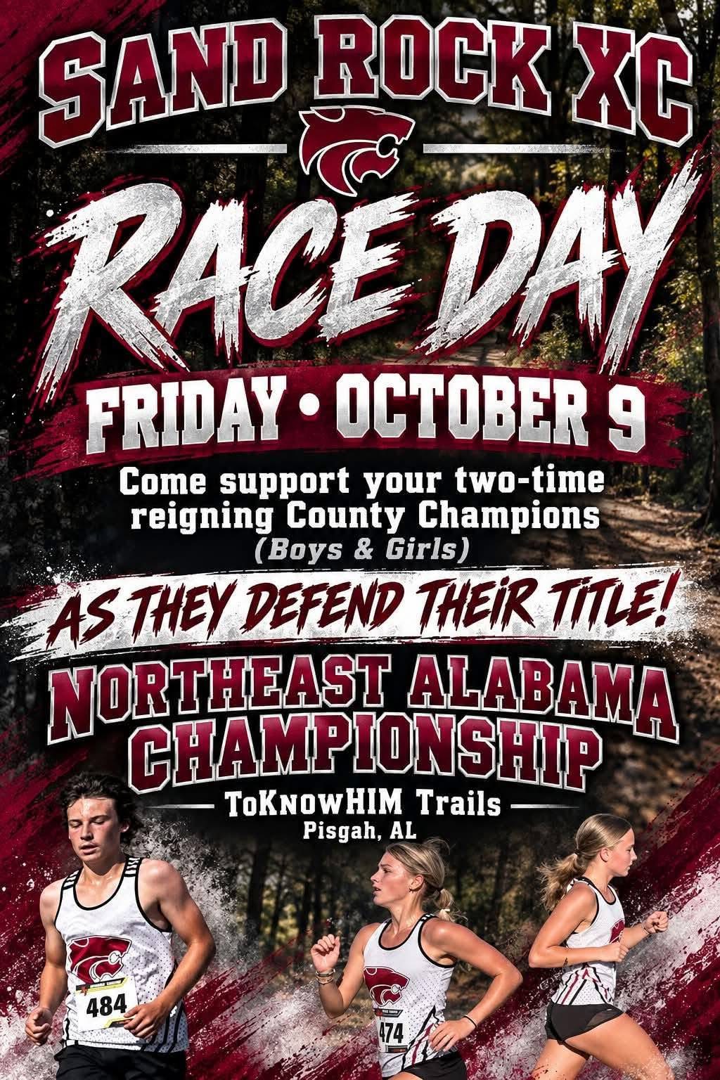 XC Flyer