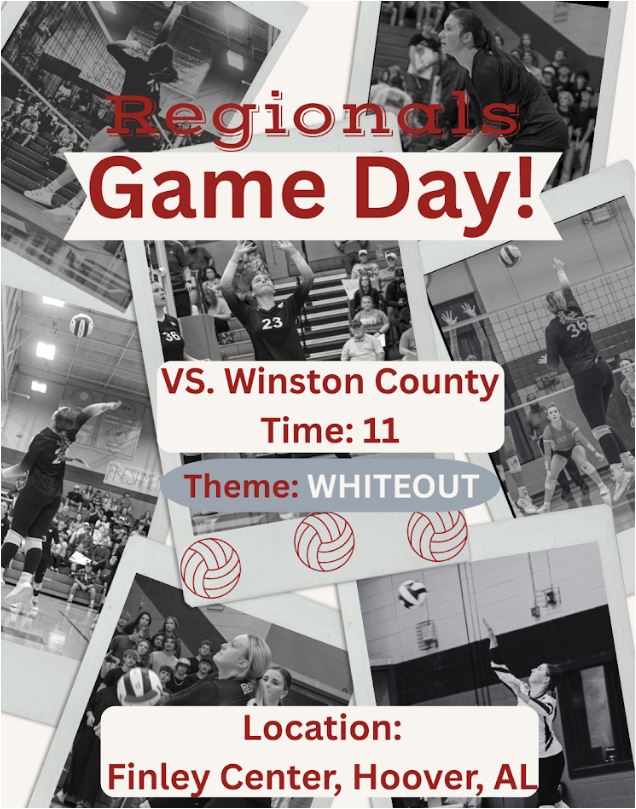 Volleyball Flyer