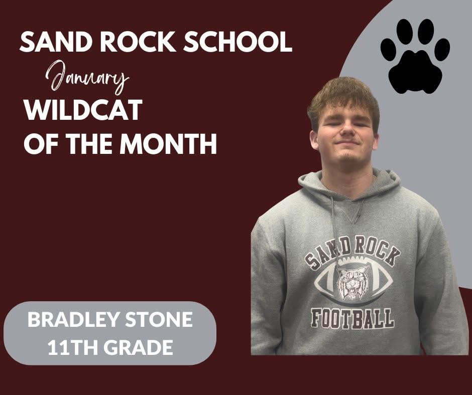 January Wildcat of the Month