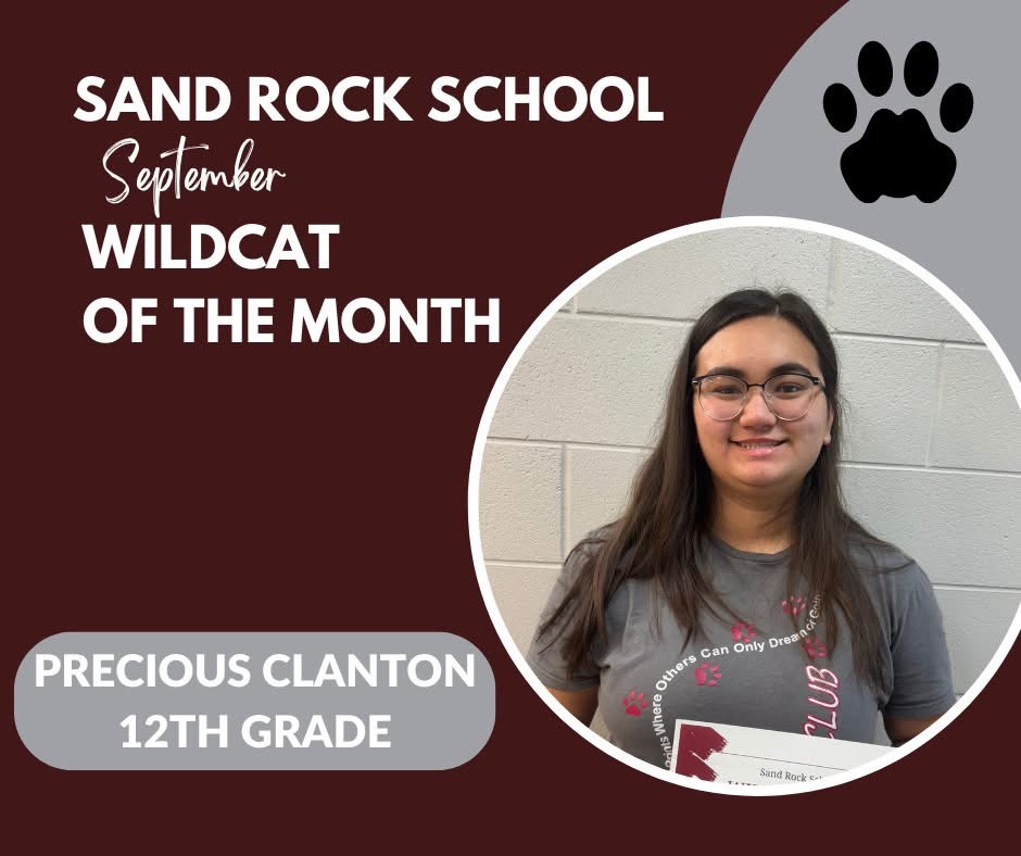 Wildcat of the Month