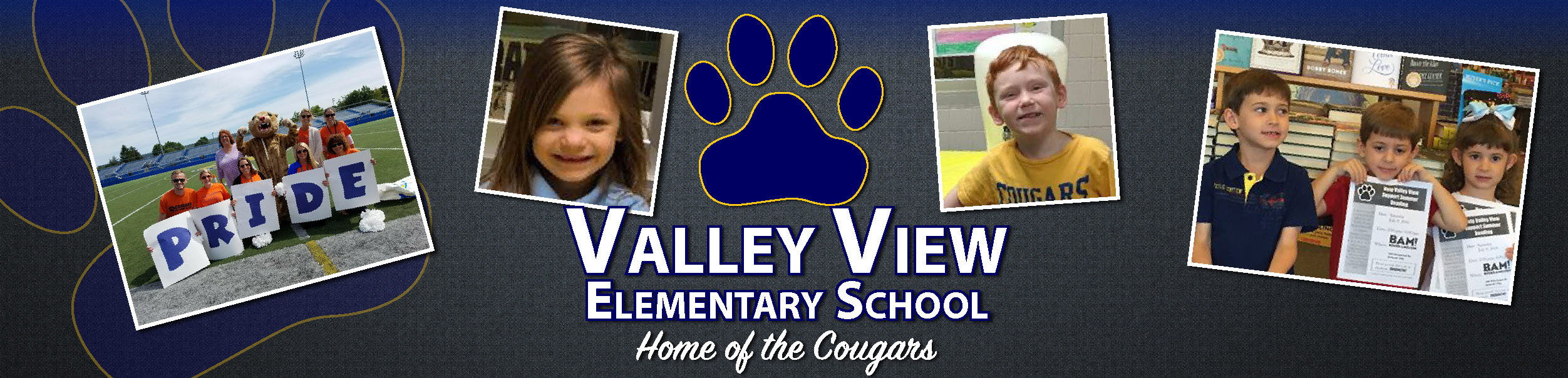 Home Valley View Elementary School