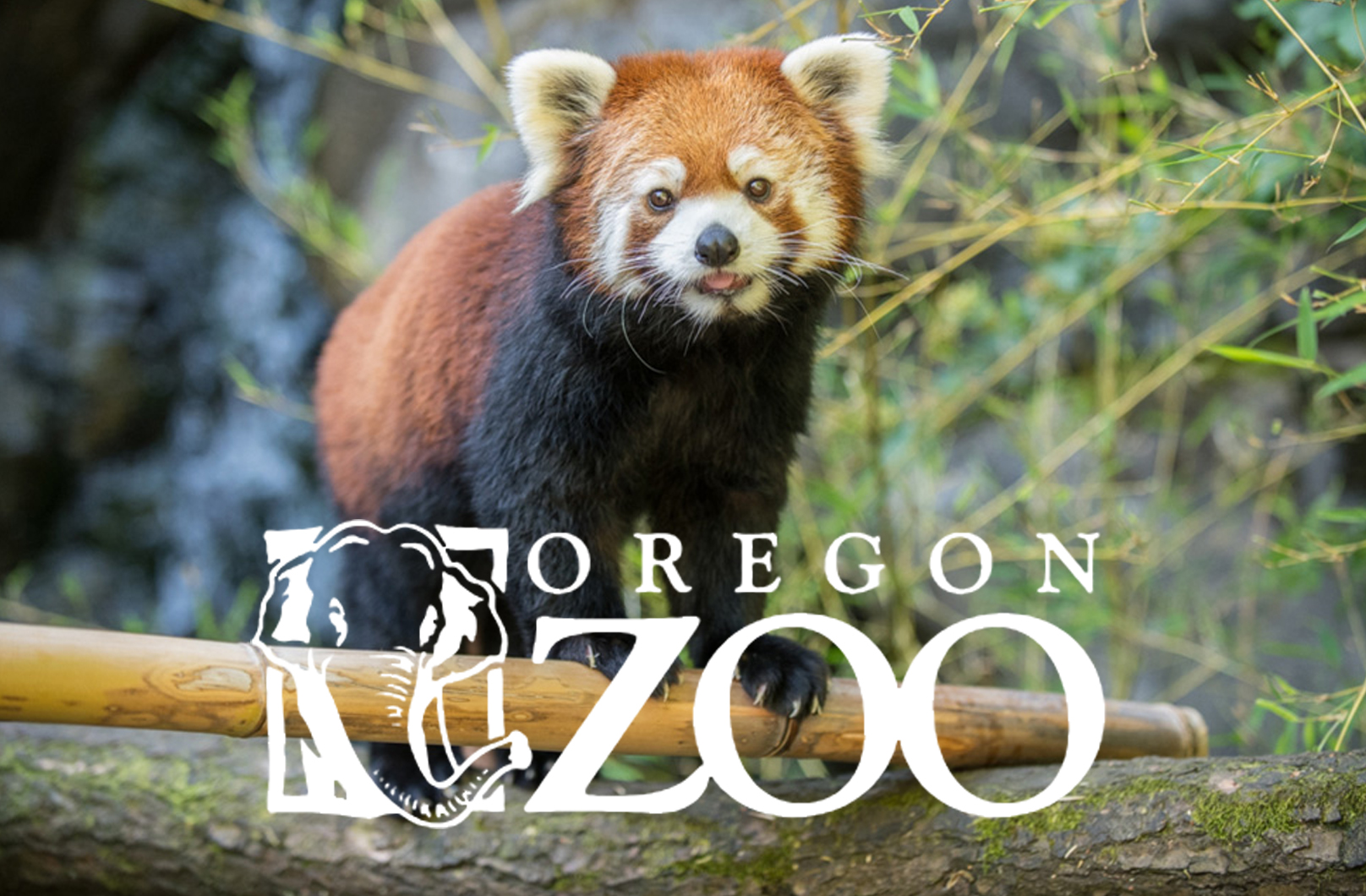 Oregon Zoo