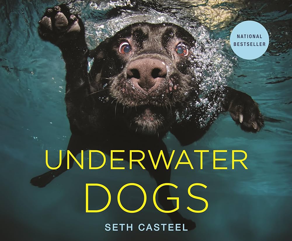 Underwater Dogs: Kids Edition by Seth Casteel book trailer