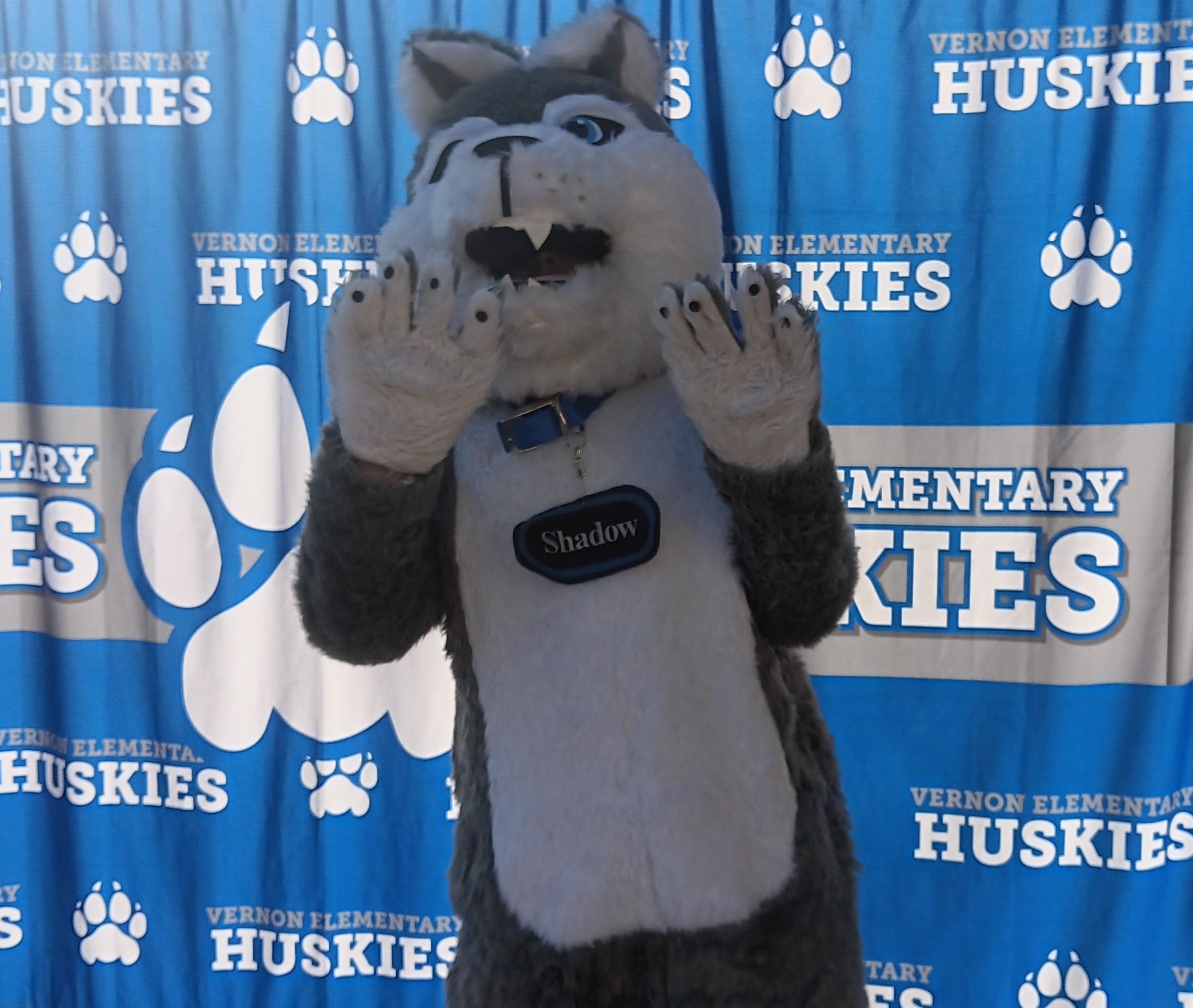 Vernon Husky Mascot "SHADOW"