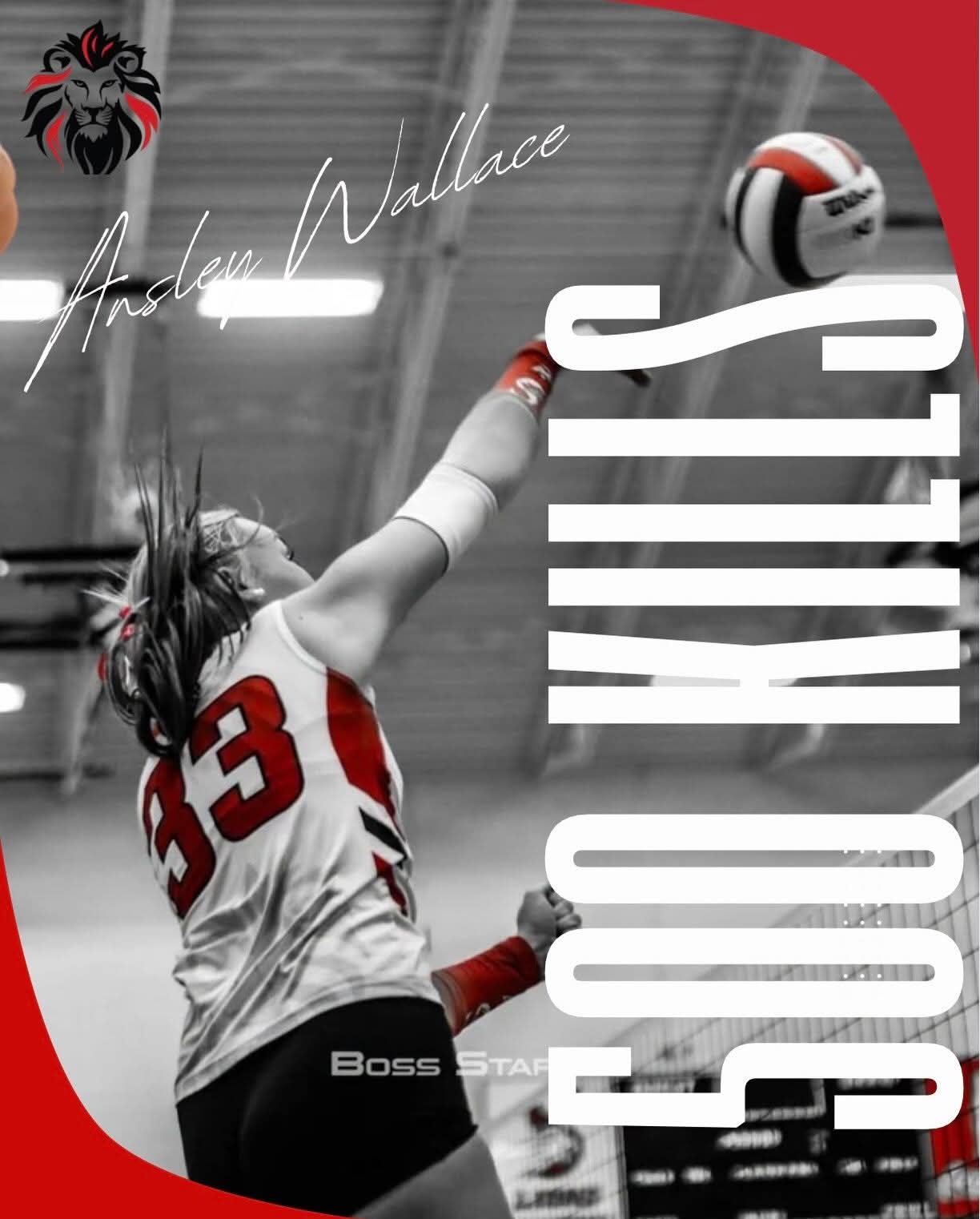 Ansley Wallace Reaches 500 Kills