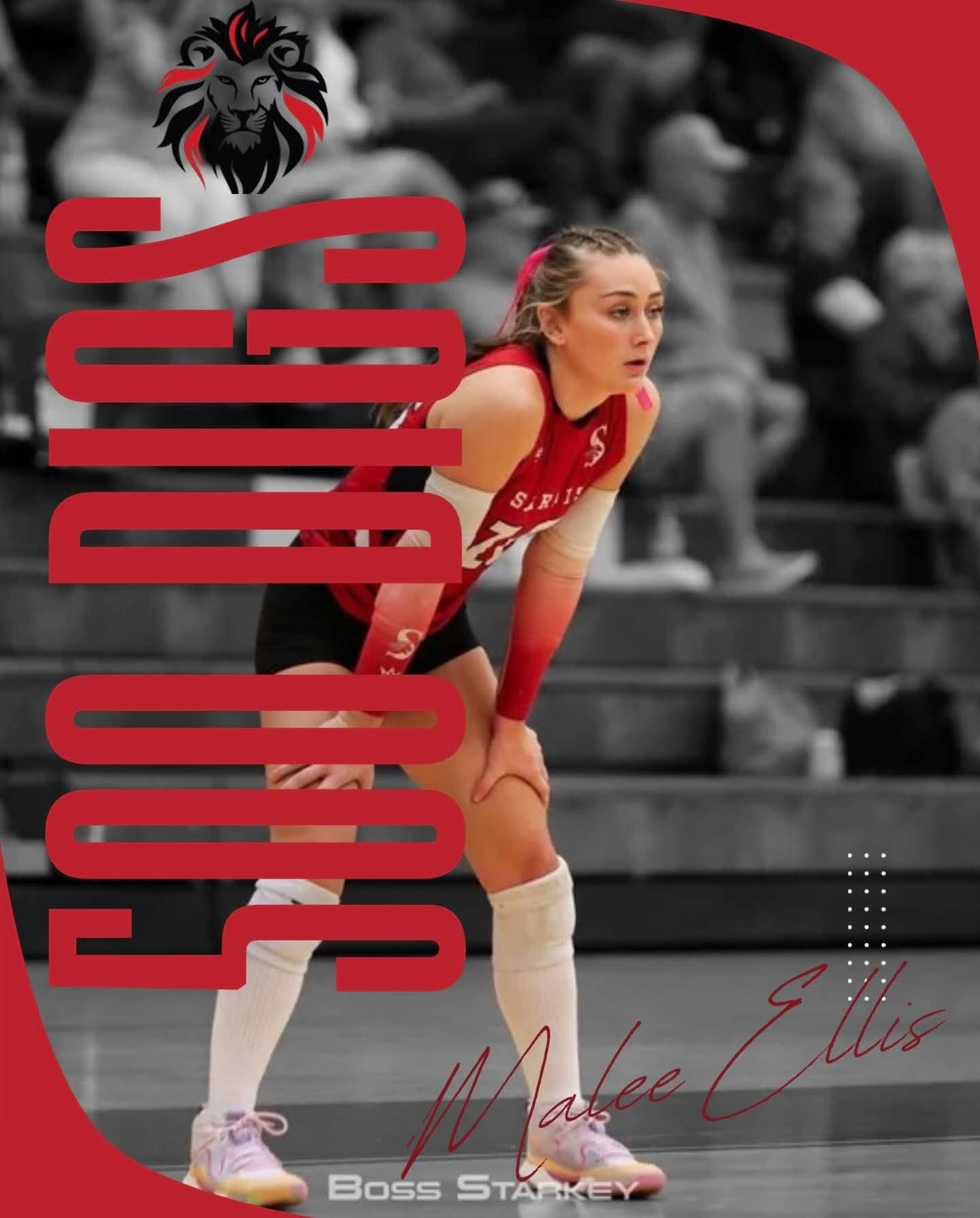 Malee Ellis Reaches 500 Digs
