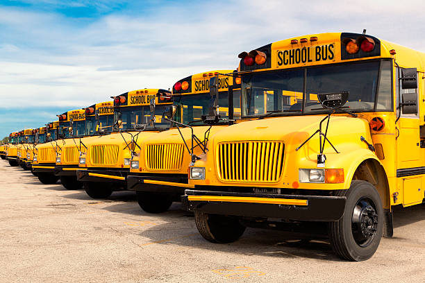 Buses