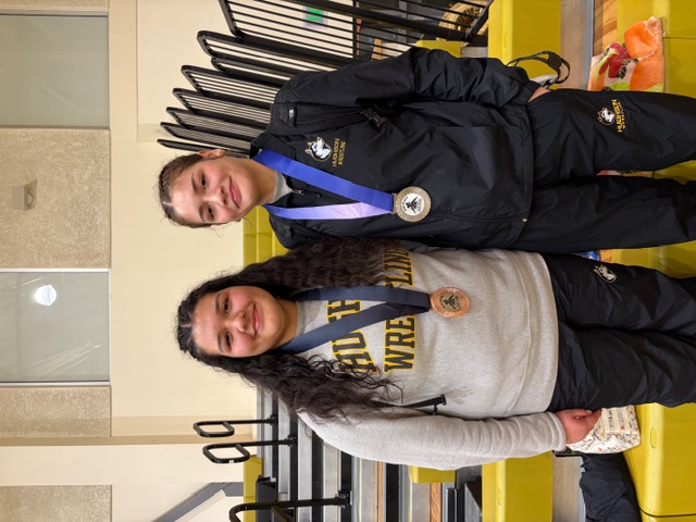 Winter Sports Midseason at a Glance