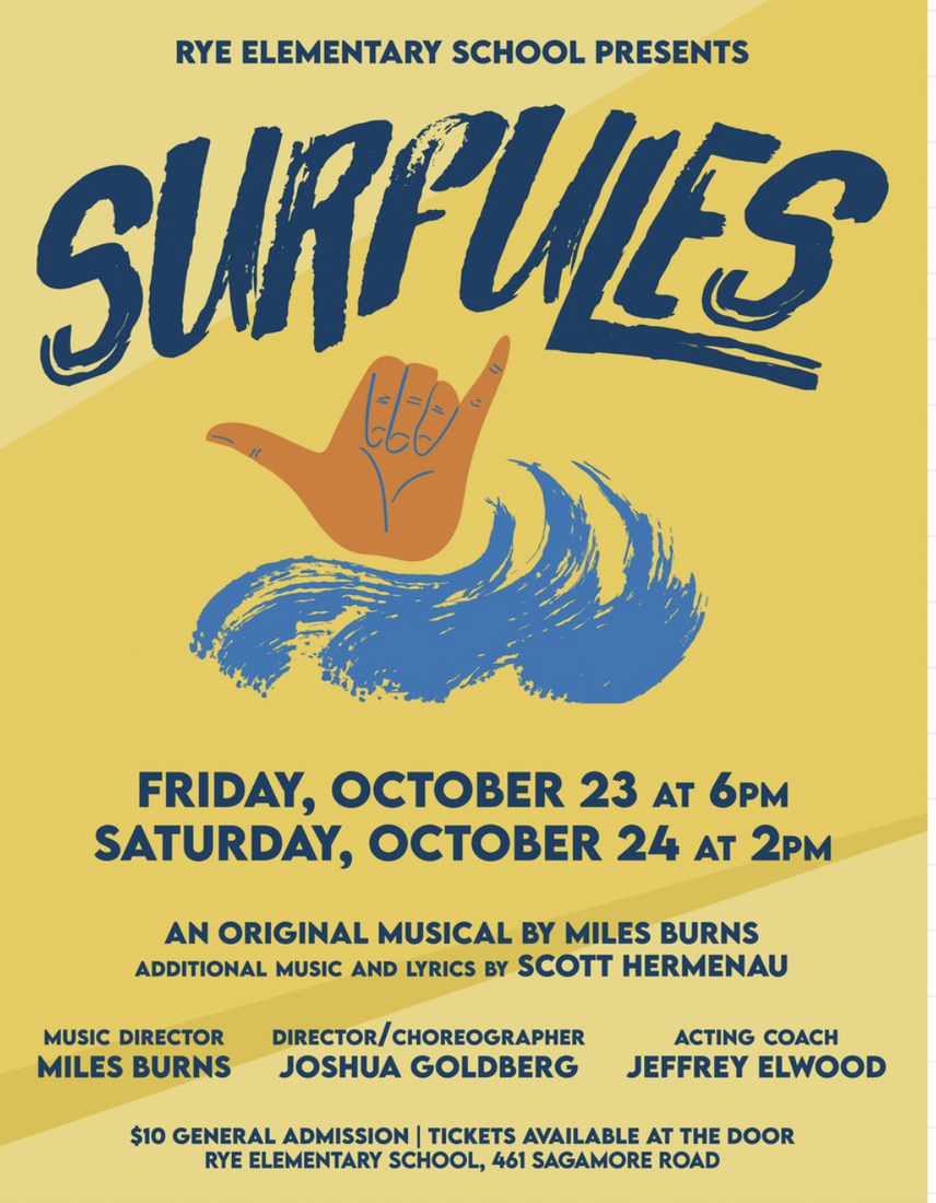 Surfules performance poster