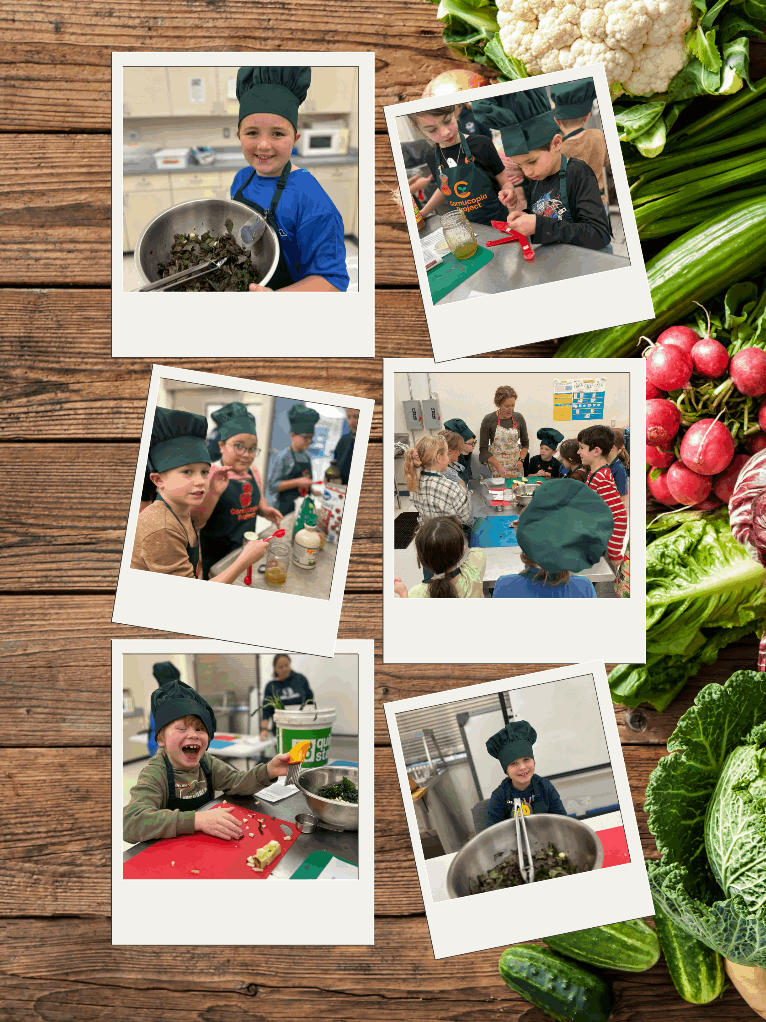 Kale, Apple and Craisin Salad