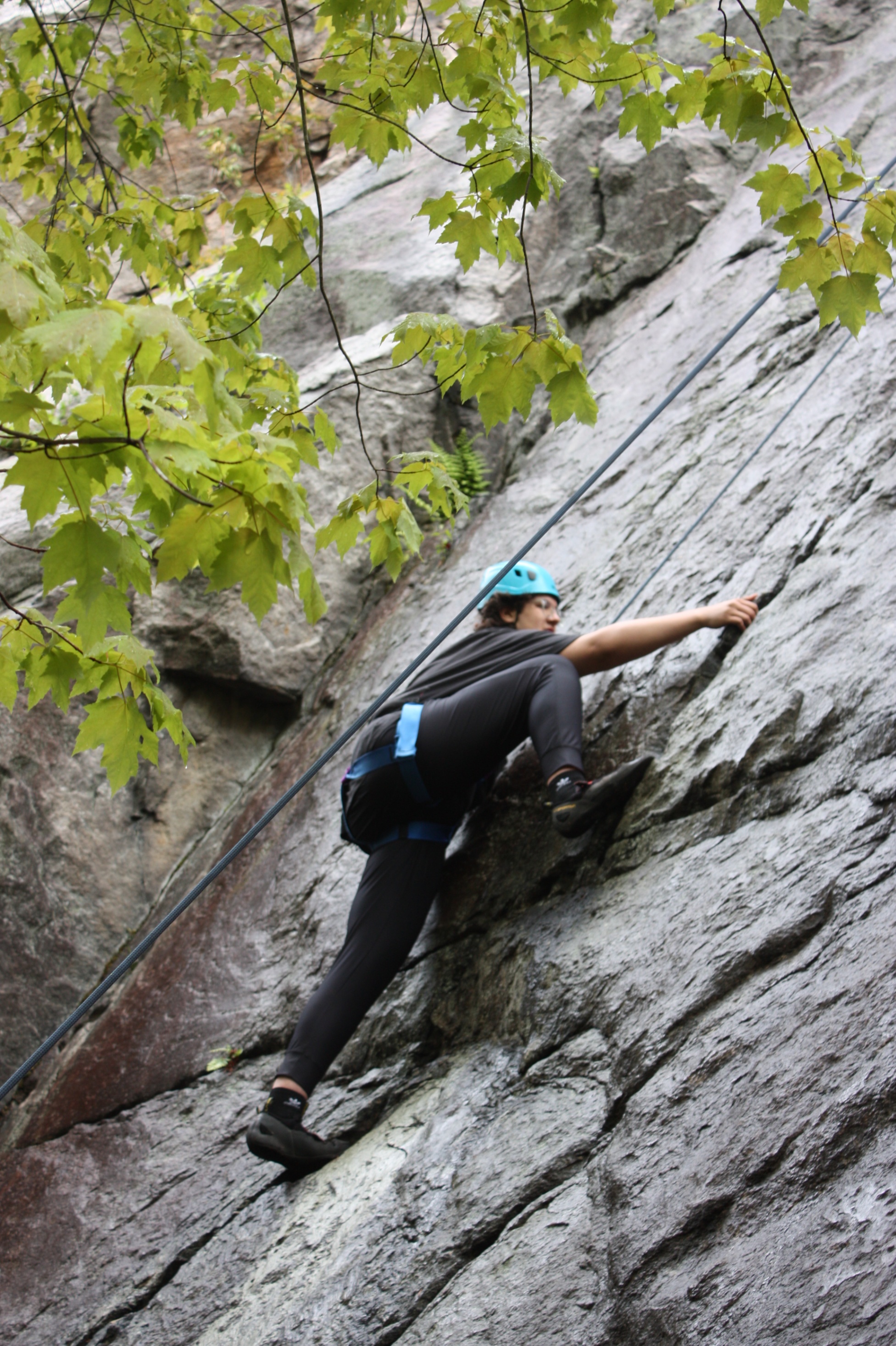 Climber
