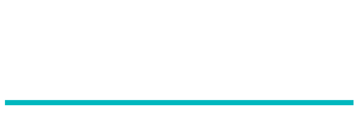 Career Institute of Technology