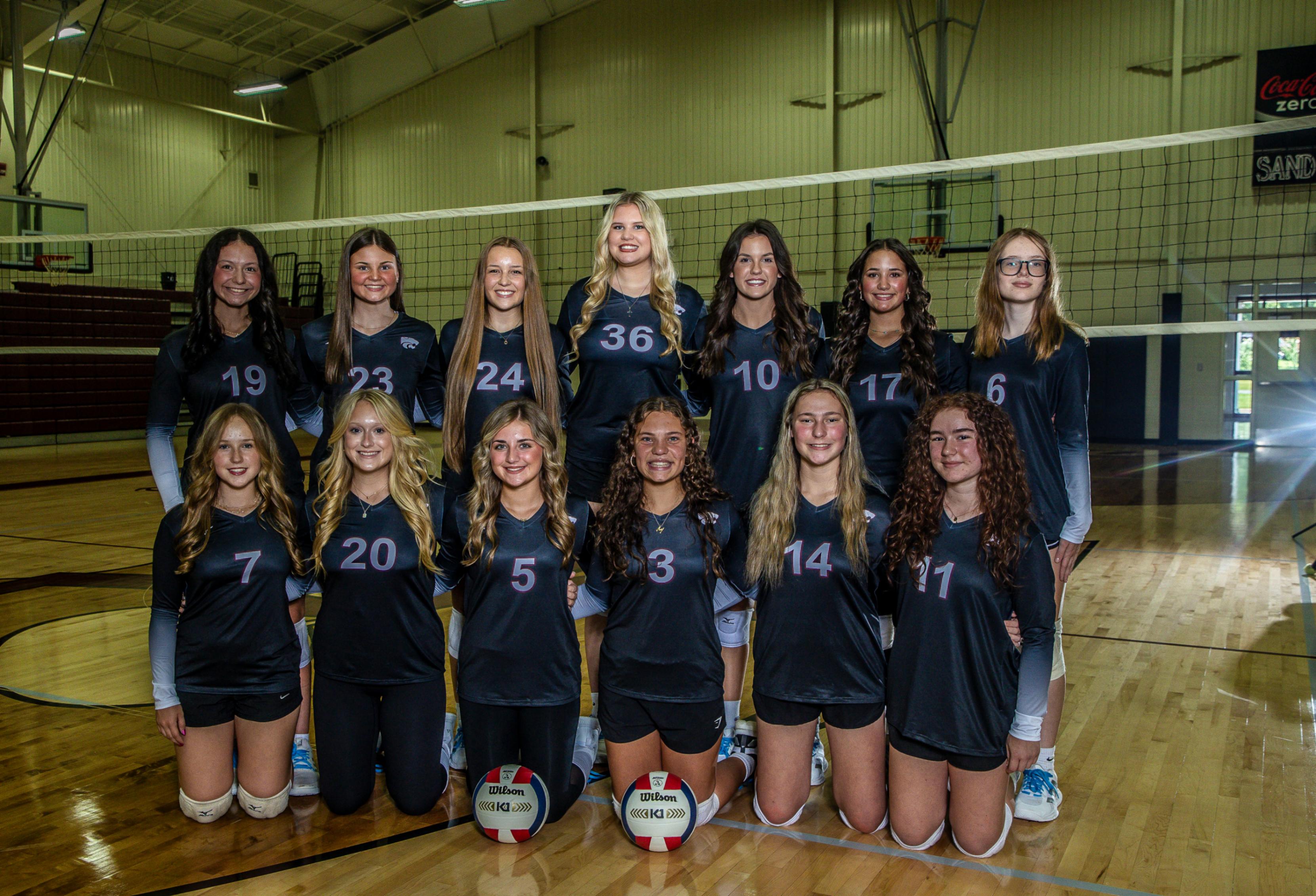 Volleyball 1
