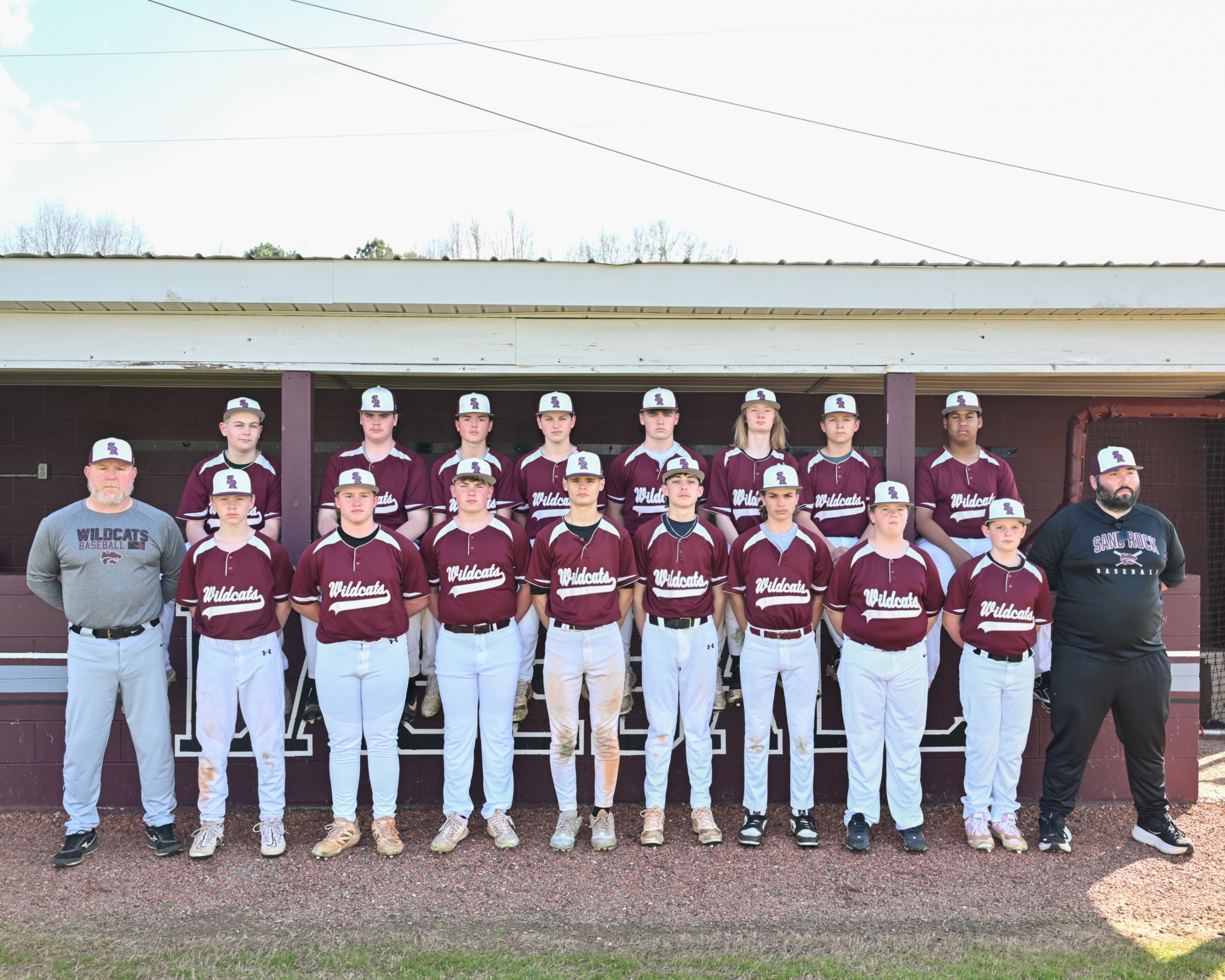 Baseball Picture