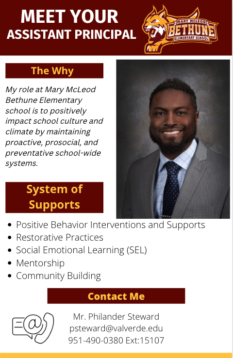 Mr. Steward (Assistant Principal)