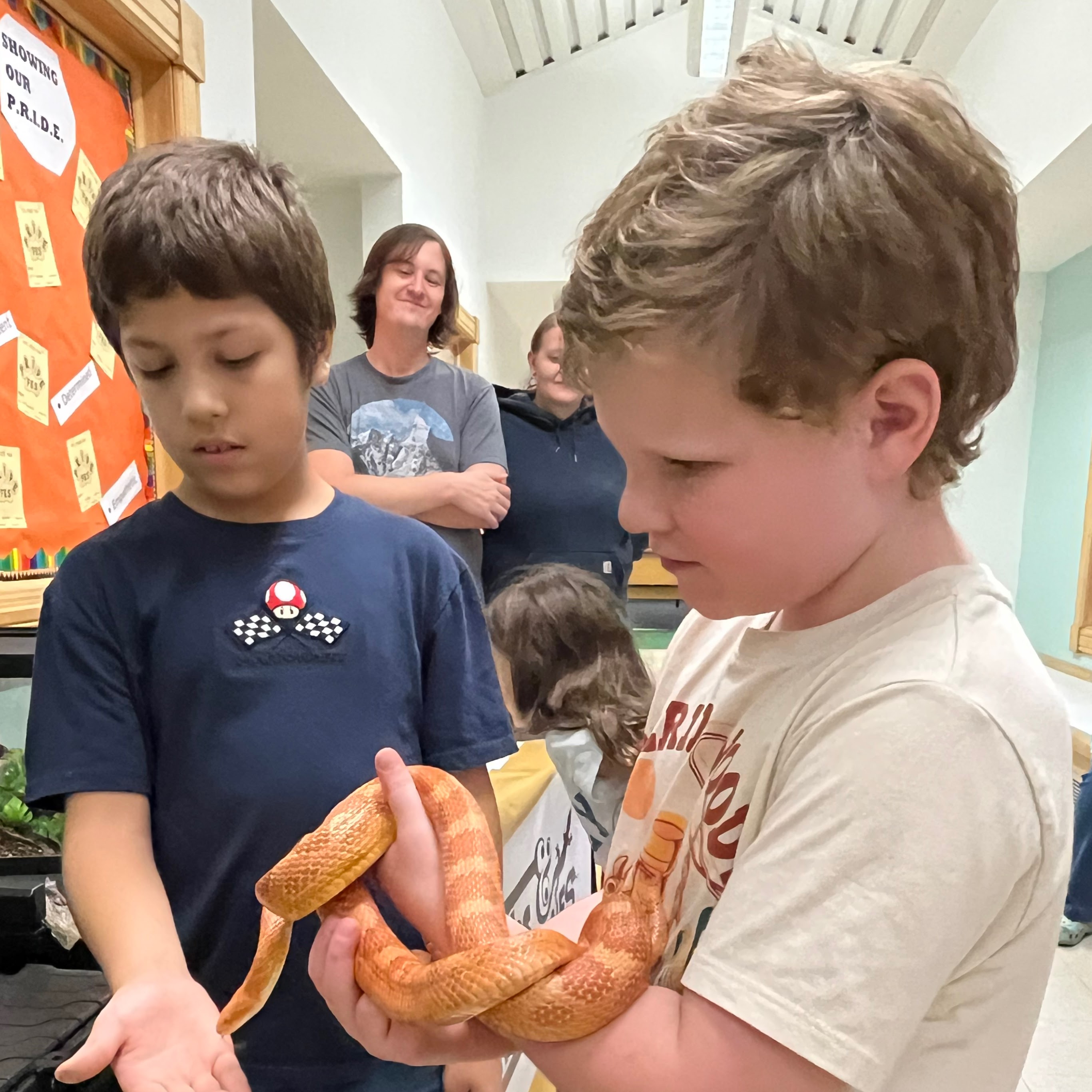 snake with boy