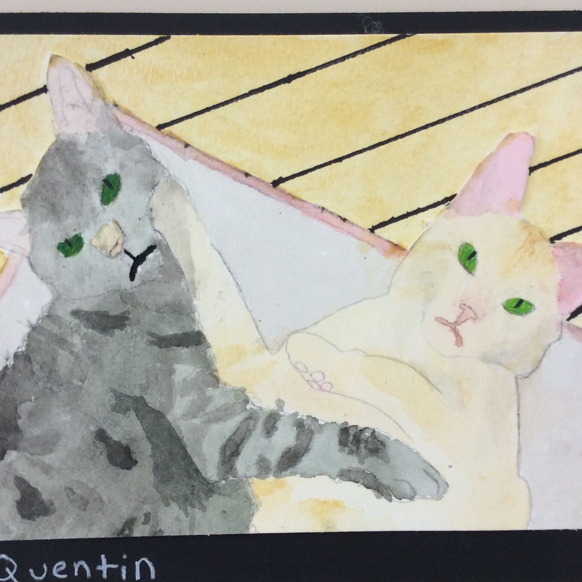 cats