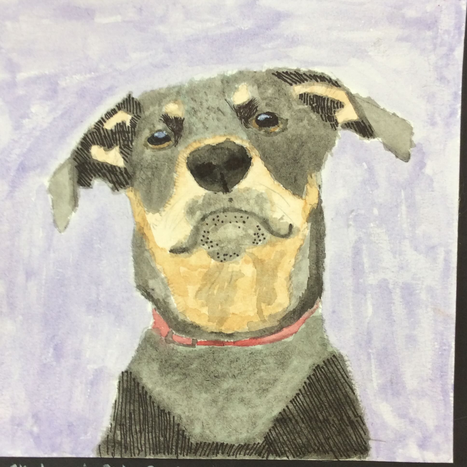 dog