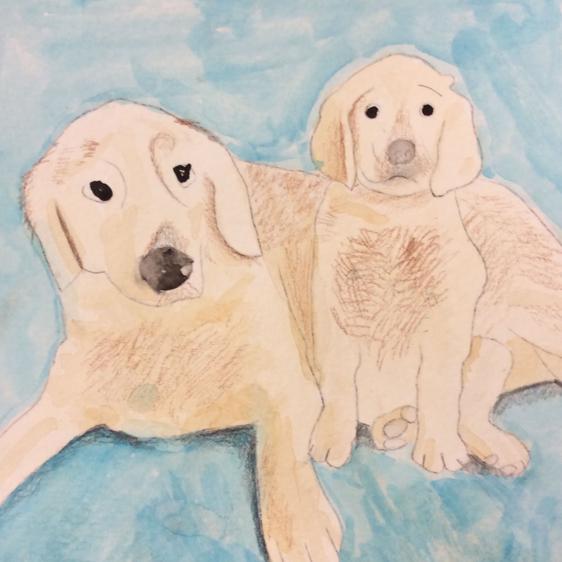 dogs