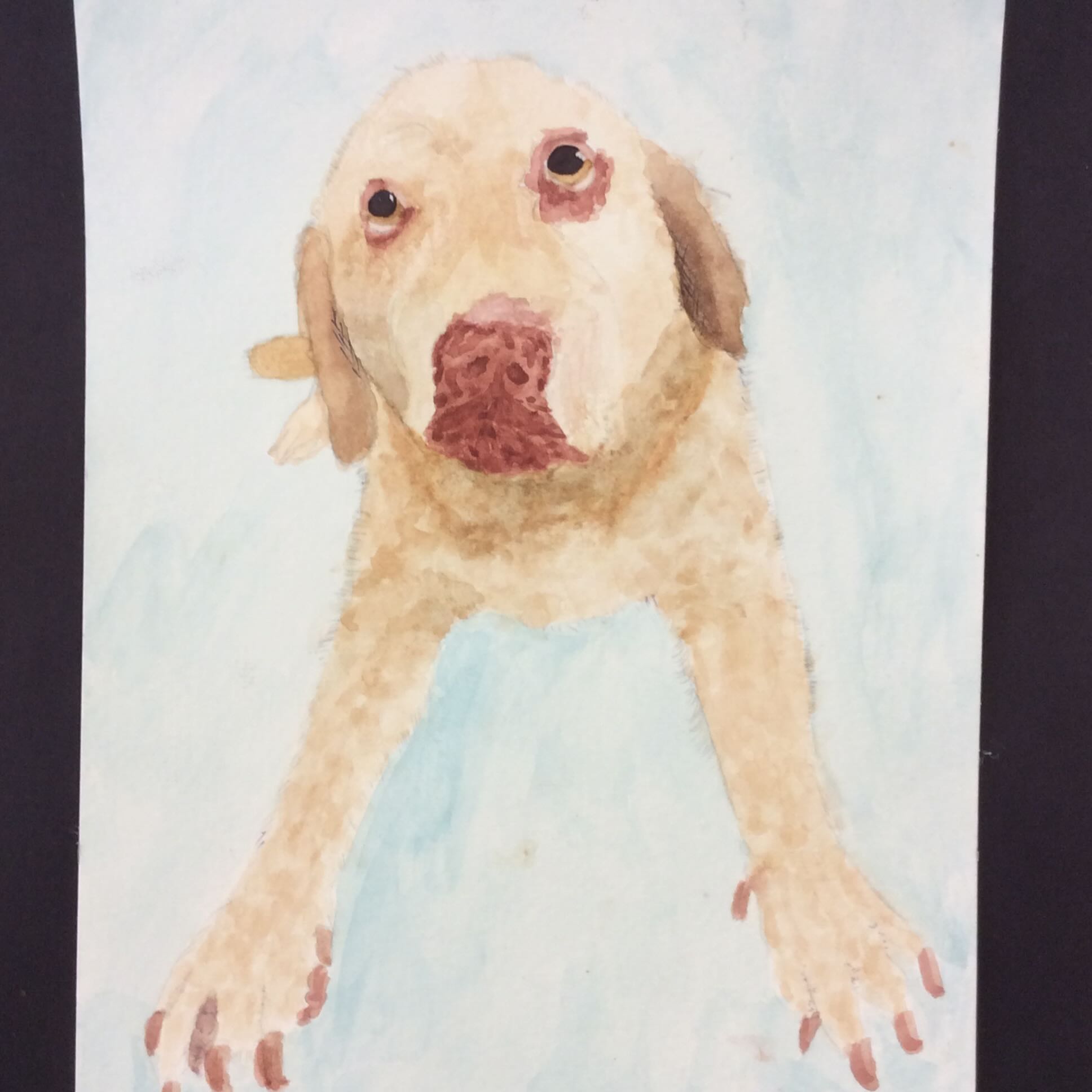 dog