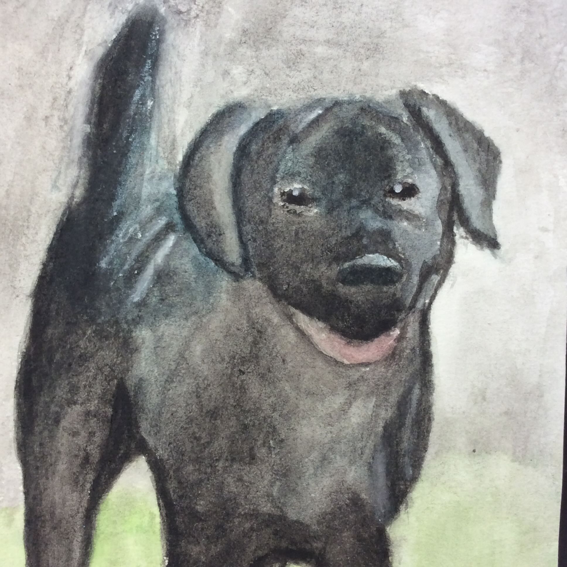 dog